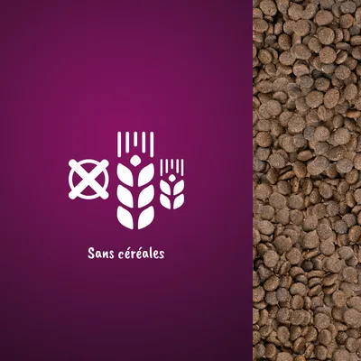 Croquettes pour animaux à droite, icône d’épis barrés et texte « Sans céréales » à gauche indiquant l’absence de céréales dans le produit.