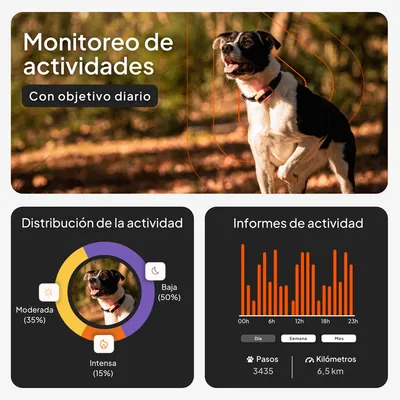Weenect Pet GPS Tracker XS para perros