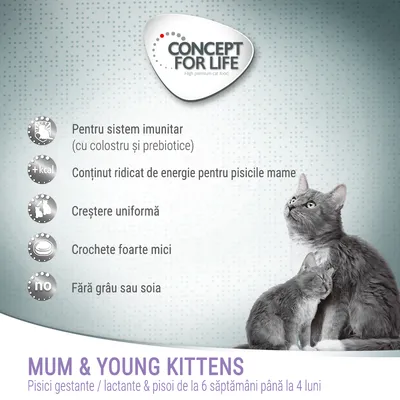 Concept for Life Mum & Young Kittens. Pentru sistem imunitar, conținut ridicat de energie, creștere uniformă, crochete foarte mici, fără grâu sau soia. Pisici gestante/lactante și pui 6 săpt.–4 luni.