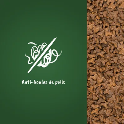 Texte visible : Anti-boules de poils, à côté de croquettes en forme d’étoile. Mention anti-boules de poils clairement affichée sur fond vert.