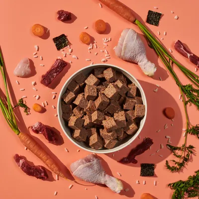 Bowl of cubed pet food surrounded by raw meat pieces, carrot slices, whole carrots, rice grains and seaweed, showing visible ingredients used in the product.