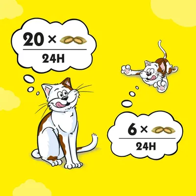 Ilustrace s kočkou a kotětem, každé má bublinu s dávkováním: dospělá kočka 20× kapsle za 24 hodin, kotě 6× kapsle za 24 hodin.