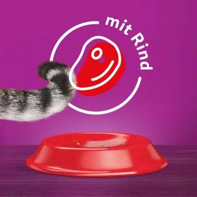 Roter Futternapf mit Resten, Katzenpfote daneben. Text: 'mit Rind' und Symbol eines Fleischstücks.