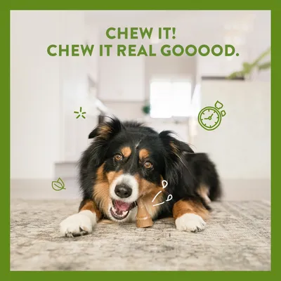 Text reads: Chew it! Chew it real gooood. Image shows a pet holding a chew treat, with icons suggesting time and natural ingredients.