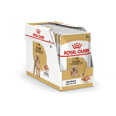 ROYAL CANIN ADULT Poodle wet food 85g pouches, visible text: Coat Health. Box with multiple sachets, image of a poodle and food on packaging.