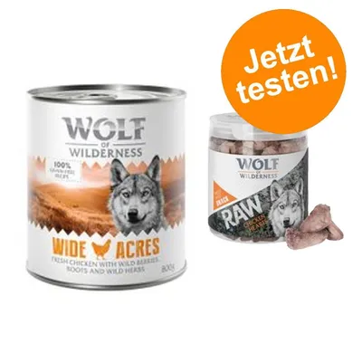 Wolf of Wilderness Kombi-Paket: 24 x 800 g Nassfutter + 4 x 70 g RAW Snacks