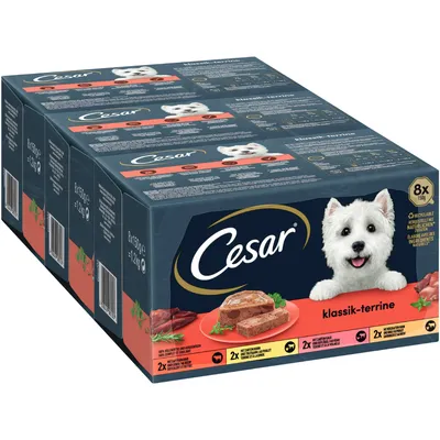 Confezione multipla Cesar klassik-terrine, 8x150g, con immagini di terrine su piatto rosso e testo visibile sulle varietà incluse. Marchio Cesar ben visibile sulla confezione.