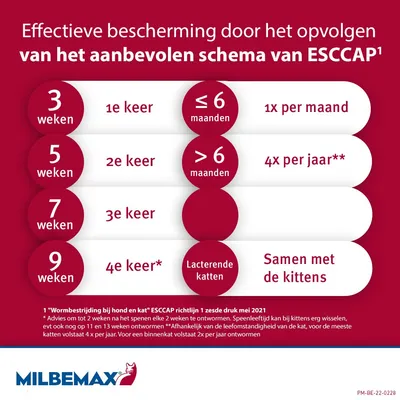 Milbemax Kleine Kat (NL)