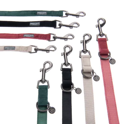 Laisse pour chien Nomad Tales en tissu, mousqueton métallique, disponible en vert, noir, rouge et beige, étiquette de marque visible sur chaque laisse.