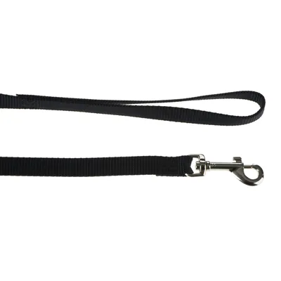 Musta nylonkoiran talutushihna kädensijalla ja hopeanvärisellä metallikarabiinihakalla.