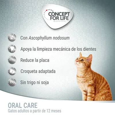 Concept for Life Oral Care para gatos adultos desde 12 meses. Con Ascophyllum nodosum, apoya la limpieza dental, reduce la placa, croqueta adaptada, sin trigo ni soja.