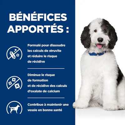 BÉNÉFICES APPORTÉS : formulé pour dissoudre les calculs de struvite, réduire le risque de récidive, diminue le risque de formation et récidive des calculs d’oxalate de calcium, maintient une vessie saine.
