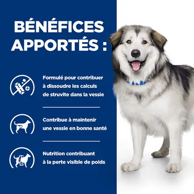 Bénéfices apportés : formulé pour dissoudre les calculs de struvite dans la vessie, contribue à une vessie saine, nutrition aidant à la perte visible de poids. Texte en français.