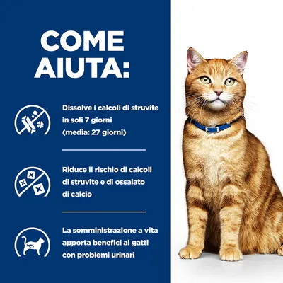 COME AIUTA: Dissolve i calcoli di struvite in soli 7 giorni (media: 27 giorni). Riduce il rischio di calcoli di struvite e di ossalato di calcio. Benefici ai gatti con problemi urinari.