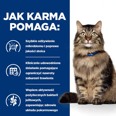Jak karma pomaga: szybkie odżywienie mikrobiomu i poprawa jakości stolca, klinicznie udowodnione działanie ograniczające nawroty zaburzeń trawienia, wsparcie bakterii jelitowych.