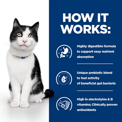 HOW IT WORKS: Highly digestible formula to support easy nutrient absorption. Unique prebiotic blend to fuel activity of beneficial gut bacteria. High in electrolytes & B vitamins; Clinically proven antioxidants. (angol nyelvű szöveg)