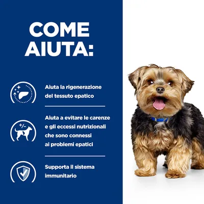 COME AIUTA: Aiuta la rigenerazione del tessuto epatico. Aiuta a evitare le carenze e gli eccessi nutrizionali connessi ai problemi epatici. Supporta il sistema immunitario.