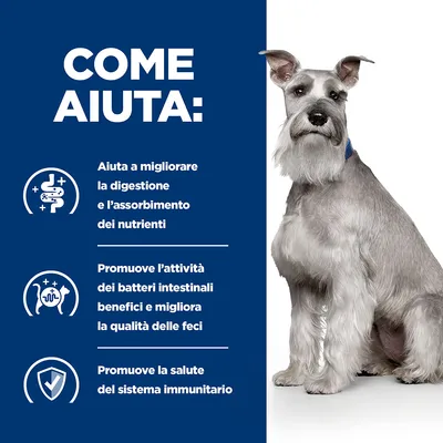 Testo: Come aiuta. Aiuta a migliorare la digestione e l’assorbimento dei nutrienti, promuove l’attività dei batteri intestinali benefici e migliora la qualità delle feci, promuove la salute del sistema immunitario.