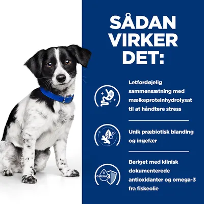 SÅDAN VIRKER DET: Letfordøjelig sammensætning med mælkeproteinhydrolysat til at håndtere stress, unik præbiotisk blanding og ingefær, beriget med klinisk dokumenterede antioxidanter og omega-3 fra fiskeolie.