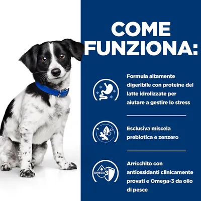 COME FUNZIONA: Formula altamente digeribile con proteine del latte idrolizzate, esclusiva miscela prebiotica e zenzero, arricchito con antiossidanti provati e Omega-3 da olio di pesce.