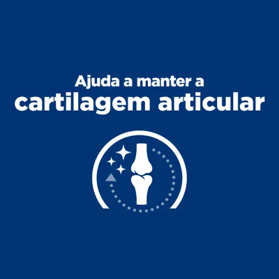 Ajuda a manter a cartilagem articular