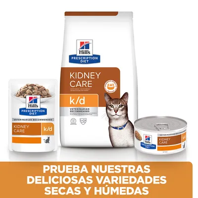 Hill's Prescription Diet Kidney Care k/d para gatos en formatos seco y húmedo. Texto: Prueba nuestras deliciosas variedades secas y húmedas.