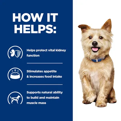 How it helps: protects vital kidney function, stimulates appetite and increases food intake, supports natural ability to build and maintain muscle mass.