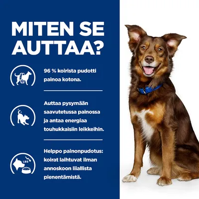 MITEN SE AUTTAA? 96 % koirista pudotti painoa kotona. Auttaa pysymään saavutetussa painossa ja antaa energiaa touhukkaisiin leikkeihin. Helppo painonpudotus ilman annoskoon liiallista pienentämistä.