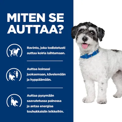Teksti: MITEN SE AUTTAA? Ravinto, joka todistetusti auttaa koiria laihtumaan. Auttaa koiraasi juoksemaan, kävelemään ja hyppäämään. Auttaa pysymään saavutetussa painossa ja antaa energiaa leikkeihin.