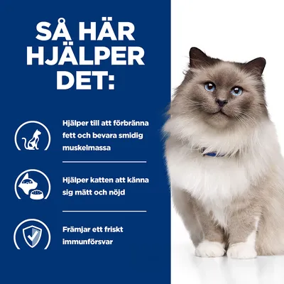 Så här hjälper det: Hjälper till att förbränna fett och bevara smidig muskelmassa. Hjälper katten att känna sig mätt och nöjd. Främjar ett friskt immunförsvar.