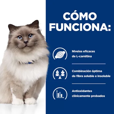 Texto: Cómo funciona. Niveles eficaces de L-carnitina. Combinación óptima de fibra soluble e insoluble. Antioxidantes clínicamente probados. Imagen de un gato junto al texto.