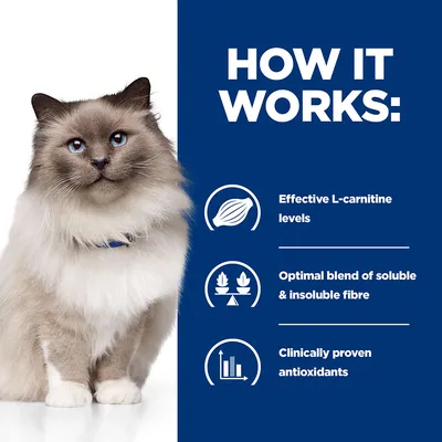 How it works: effective L-carnitine levels, optimal blend of soluble and insoluble fibre, clinically proven antioxidants.