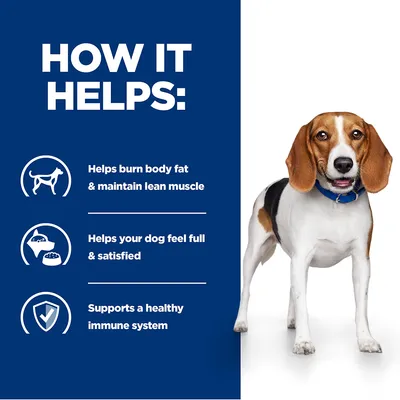 Informational image listing benefits: helps burn body fat and maintain lean muscle, helps your dog feel full and satisfied, supports a healthy immune system.