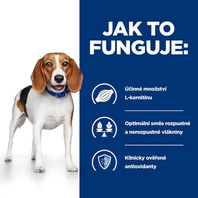 Jak to funguje: Účinné množství L-karnitinu, optimální směs rozpustné a nerozpustné vlákniny, klinicky ověřené antioxidanty. Pes vedle textu.