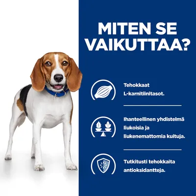 Miten se vaikuttaa? Tehokkaat L-karnitiinitasot. Ihanteellinen yhdistelmä liukoisia ja liukenemattomia kuituja. Tutkitusti tehokkaita antioksidantteja.