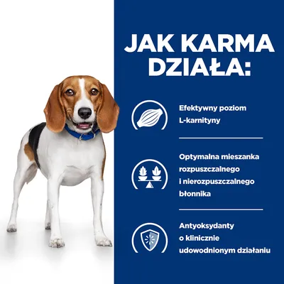 Jak karma działa: Efektywny poziom L-karnityny, optymalna mieszanka rozpuszczalnego i nierozpuszczalnego błonnika, antyoksydanty o klinicznie udowodnionym działaniu.