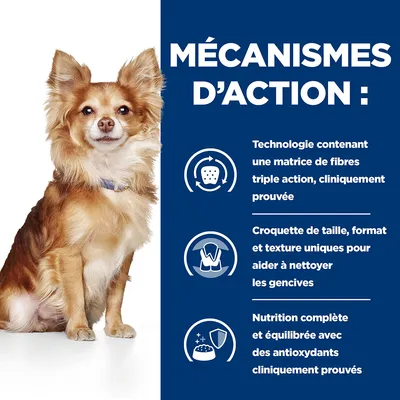 Mécanismes d’action : matrice de fibres triple action, croquette unique pour nettoyer les gencives, nutrition complète avec antioxydants cliniquement prouvés. Texte en fr_BE.