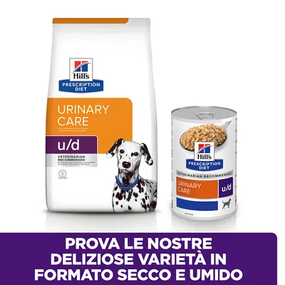 Hill's Prescription Diet Urinary Care u/d per cani, confezione di crocchette e lattina di cibo umido. Testo: Prova le nostre deliziose varietà in formato secco e umido.