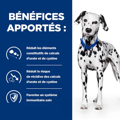 BÉNÉFICES APPORTÉS : Réduit les éléments constitutifs de calculs d’urate et de cystine, réduit le risque de récidive des calculs, favorise un système immunitaire sain.