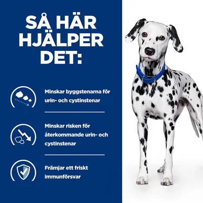 Så här hjälper det: Minskar byggstenarna för urin- och cystinstenar, minskar risken för återkommande urin- och cystinstenar, främjar ett friskt immunförsvar.