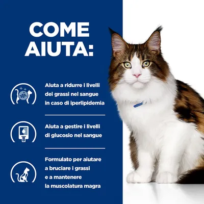 COME AIUTA: Aiuta a ridurre i livelli dei grassi nel sangue in caso di iperlipidemia. Aiuta a gestire i livelli di glucosio nel sangue. Formulato per aiutare a bruciare i grassi e mantenere la muscolatura magra.
