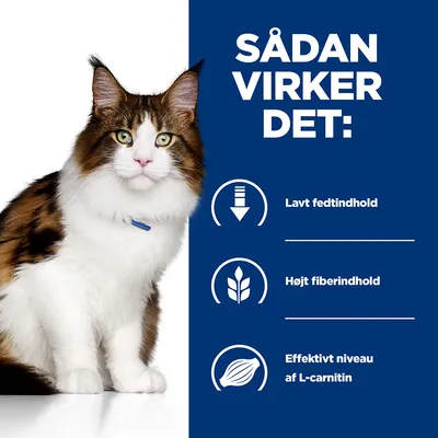 SÅDAN VIRKER DET: Lavt fedtindhold, Højt fiberindhold, Effektivt niveau af L-carnitin. Kat ved siden af tekst og ikoner.
