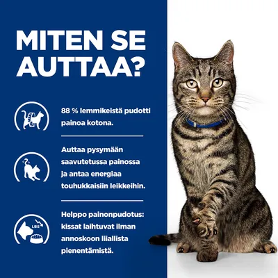 MITEN SE AUTTAA? 88 % lemmikeistä pudotti painoa kotona. Auttaa pysymään saavutetussa painossa ja antaa energiaa touhukaisiin leikkeihin. Helppo painonpudotus: kissat laihtuvat ilman annoskoon liiallista pienentämistä.