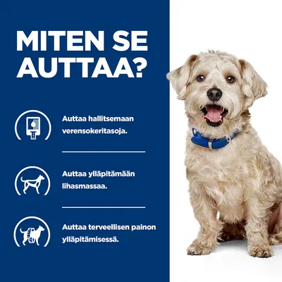 Teksti: Miten se auttaa? Auttaa hallitsemaan verensokeritasoja. Auttaa ylläpitämään lihasmassaa. Auttaa terveellisen painon ylläpitämisessä. Kuvassa koira sinisellä pannalla.