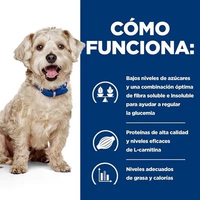 Cómo funciona: bajos niveles de azúcares y fibra para regular la glucemia, proteínas de alta calidad y L-carnitina, niveles adecuados de grasa y calorías. Imagen de perro con collar azul.