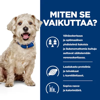 MITEN SE VAIKUTTAA? Vähäsokerisuus ja optimaalinen yhdistelmä liukoisia ja liukenemattomia kuituja auttavat säätelemään verensokeritasoa. Laadukasta proteiinia ja tehokkaat L-karnitiinitasot. Sopiva rasva- ja kalorimäärä.