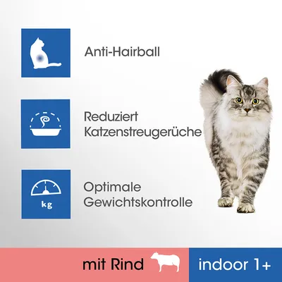 Anti-Hairball, reduziert Katzenstreugerüche, optimale Gewichtskontrolle. mit Rind, indoor 1+. Tekst deels in het Duits.