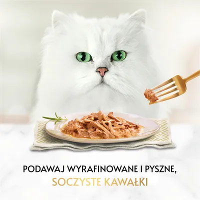 Biały kot z zielonymi oczami, talerz z kawałkami mokrej karmy dla kota, widelec z porcją karmy. Tekst: Podawaj wyrafinowane i pyszne, soczyste kawałki.
