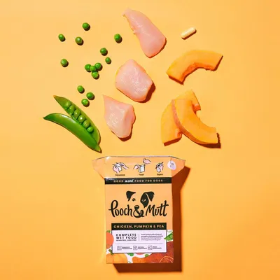 Image shows chicken pieces, peas, pumpkin slices, a capsule, and a pack of wet food labelled chicken, pumpkin and pea. Illustrations show squeeze, tear, open instructions.