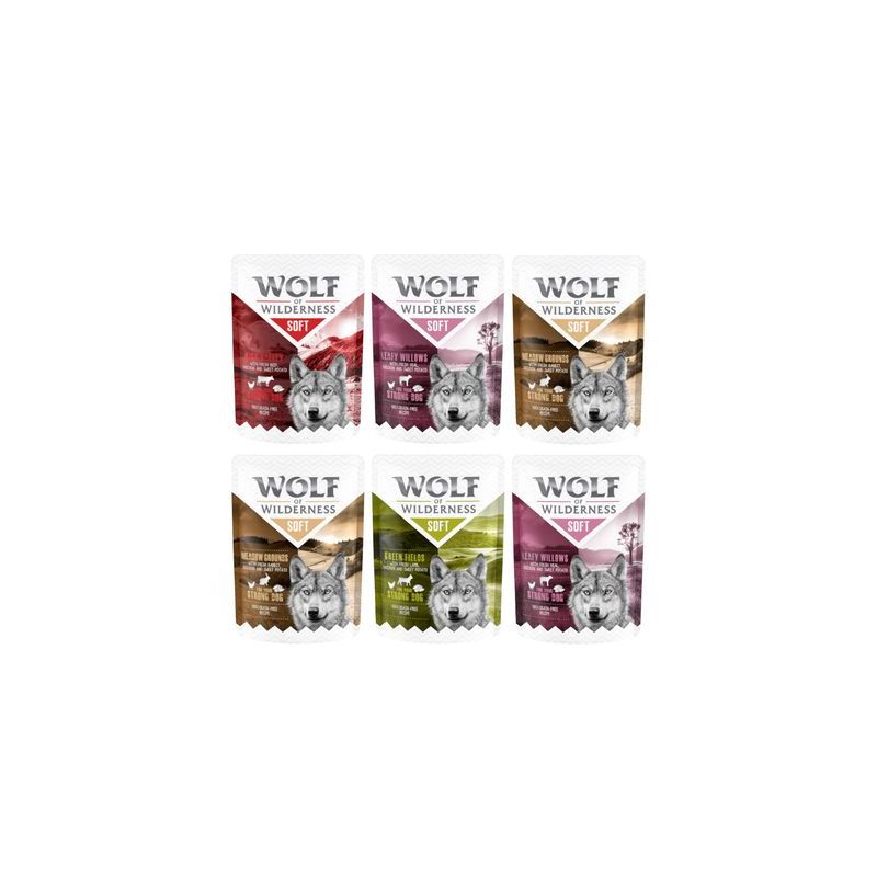 Set prova misto! Wolf of Wilderness umido per cane